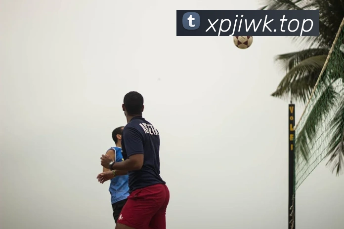 新葡京娱乐城官网发展历程